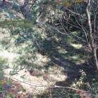 同左北大堀土塁