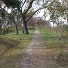 登城路、旗塚辺り