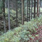 本丸二の丸間の大堀