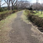 本丸周囲の土塁、遊歩道