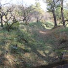 山崎城の土塁と堀