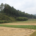 中山城東面を望む