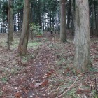 本丸中心部