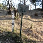 中の城