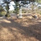 金寿城本曲輪、石碑