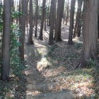 城館内部