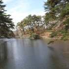 新池
