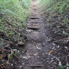 中城左横(南面)の竪堀登城路