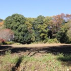 ２の丸奥に林は２の丸３の丸の横堀、土塁