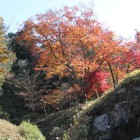 主殿奥の紅葉