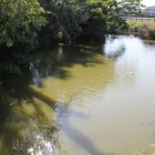 勝瑞城北側水堀