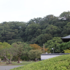 山頂本丸方面を望む