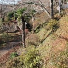 本丸南面城塁