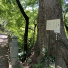 白兎橋