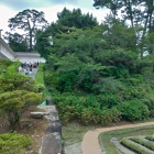 小田原城常盤木橋東堀