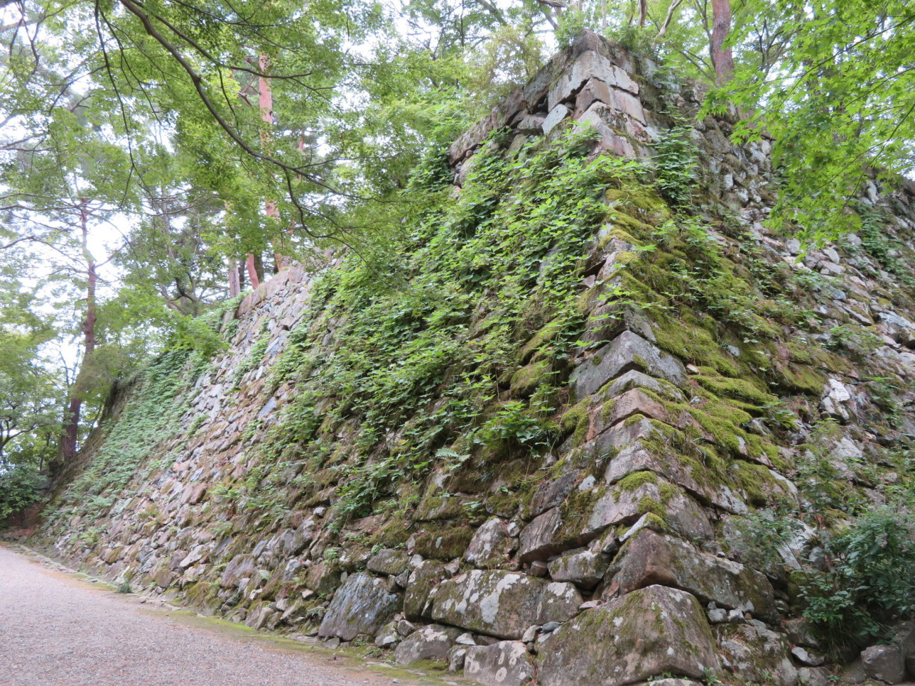 [亀山城] 城びと