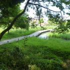 湿地は推定かつての水堀跡
