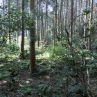 居館跡と考えられる平坦地