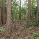 主郭