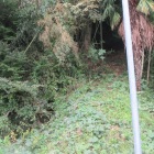 登城口