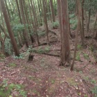 主郭北堀切