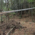 屋敷最下段