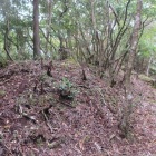 蔵屋敷土塁