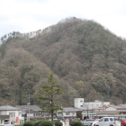 亀井山城アップ