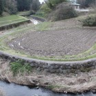 本丸西側抜川蛇行島状地