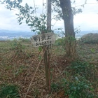 主郭