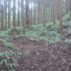 二郭虎口