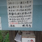 鹿、猪を食べ尽くして欲しい