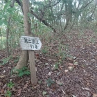南東ピークの郭