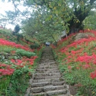 仏隆寺参道