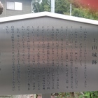 ステンレスは反射が