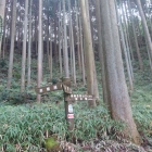 登城口から郭を見上げる