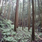 土留めの石積み
