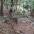 土留めの石積み
