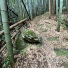 登山道。