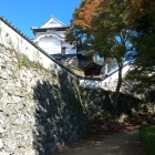天守と石垣