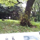 出丸