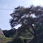 大手門跡