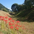 北側の堀と土塁