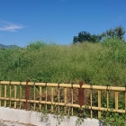 石碑近くの土塁