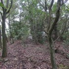 中出丸跡……かなぁ