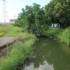 筒井順慶が築いたとされる順慶堤