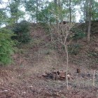 三の丸から見上げる本丸の切岸