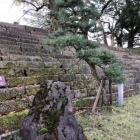 侘び寂び。