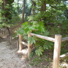 土塁