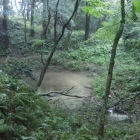 馬洗い池